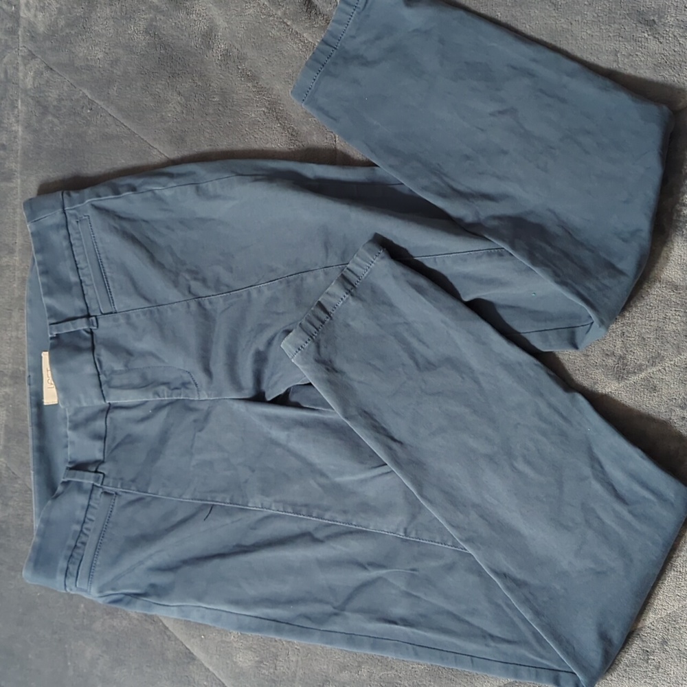 LOFT Women's Casual Work Pants Blue Size 4